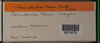 Image Associated With the Occurence